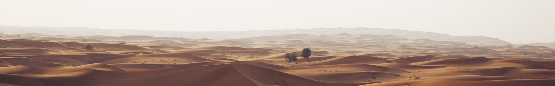 ݸװν޹˾